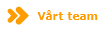 Vårt team